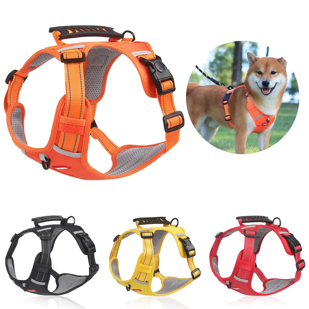 No Pull Harness For Your Furry Friend😍 Get Yours With Free Shipping 🎉